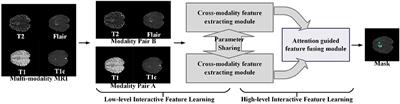 Brain Tumor Segmentation via Multi-Modalities Interactive Feature Learning